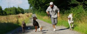 Under Dogs, Hundetraining Oberhausen, mobile Hundeschule, alternative Trainingsmethoden, Thai Ridgeback, Torben Kammilla, Hundebetreuung, Hundefotografie, Tierfotografie, Barf Beratung, Qualifikation, Zertifizierung nach §11 Tierschutzgesetz, Hundeschule