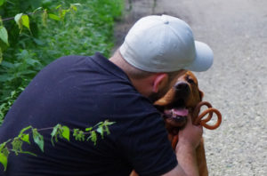 Under Dogs, Hundetraining Oberhausen, mobile Hundeschule, alternative Trainingsmethoden, Thai Ridgeback, Torben Kammilla, Hundebetreuung, Hundefotografie, Tierfotografie, Barf Beratung